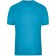 color:turquoise